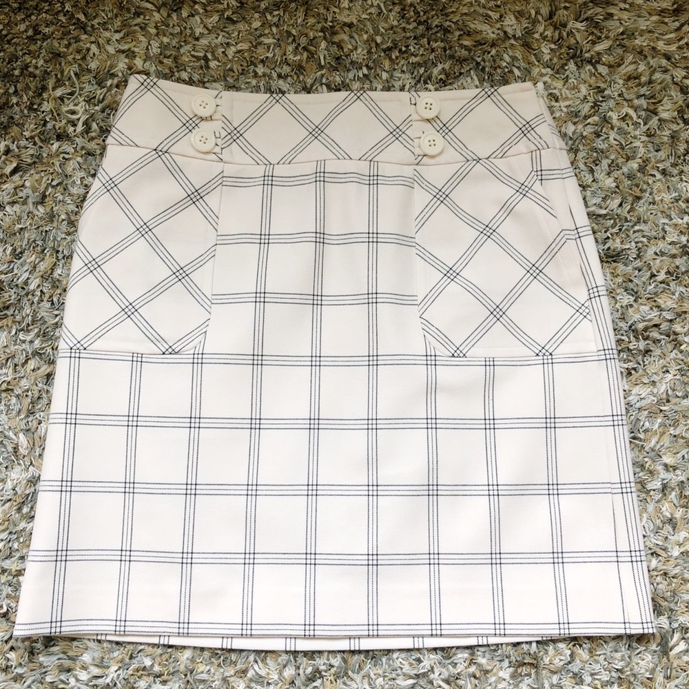LOFT Ann Taylor Skirt